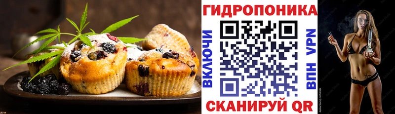 дарнет шоп  Екатеринбург  Печенье с ТГК конопля 