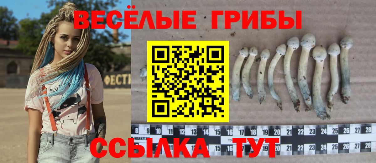 Галлюциногенные грибы MAGIC MUSHROOMS Екатеринбург