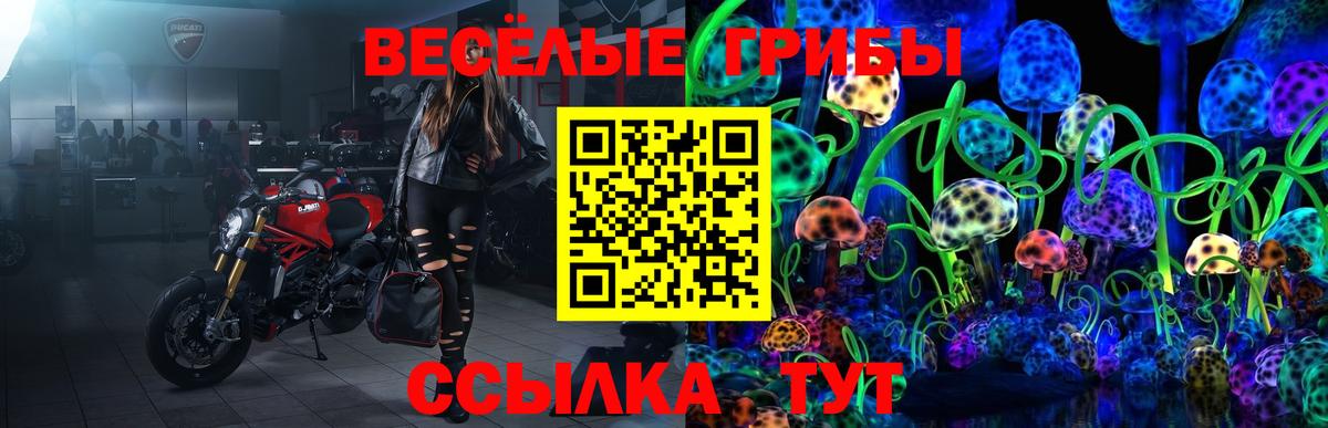 Екатеринбург  Псилоцибиновые грибы мицелий  Вход с VPN  Галлюциногенные грибы GOLDEN TEACHER 