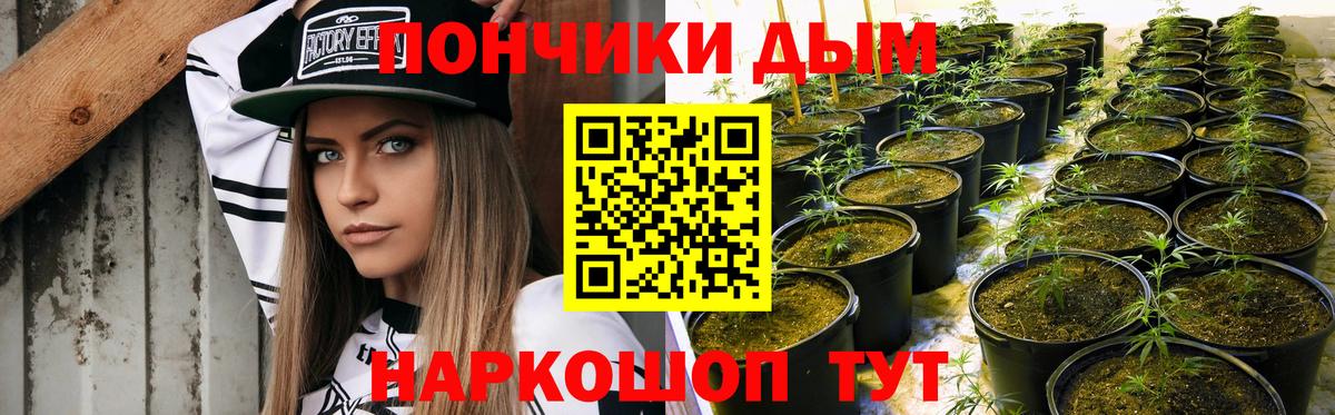 МАРИХУАНА сатива Екатеринбург